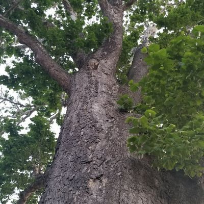 Profile Picture of Randy Faust (@RandyFaust5) on Twitter