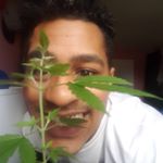 Nicholas Lewis - Instagram Profile Picture of Nicholas Lewis (@nicholaslewis12) on Instagram