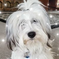 Profile Picture of David Gerg (@david-gerg-1) on Quora