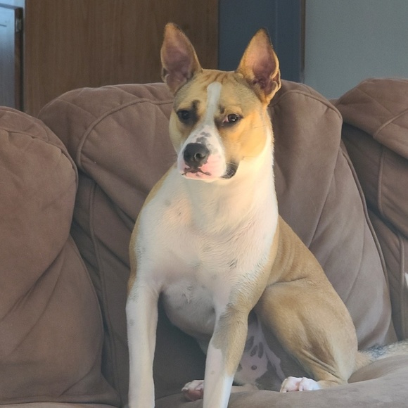 Profile Picture of Donald Sellera (@dpop2448) on Poshmark