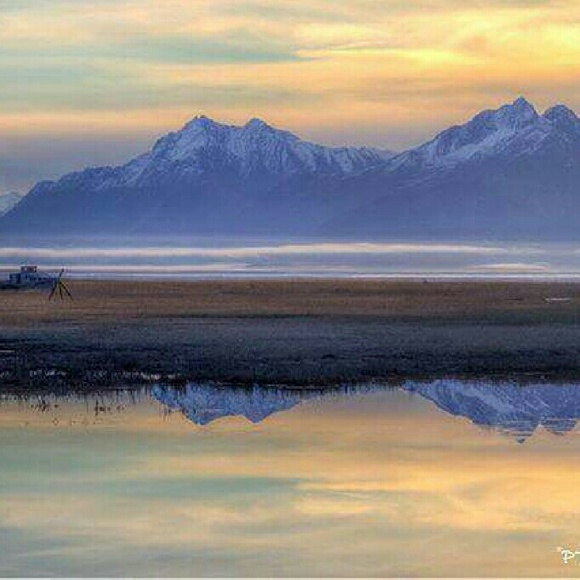 Profile Picture of Kim Gilliam (@demon2993) on Poshmark