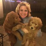 Profile Picture of Julie Applegate (@julie.c.applegate) on Instagram