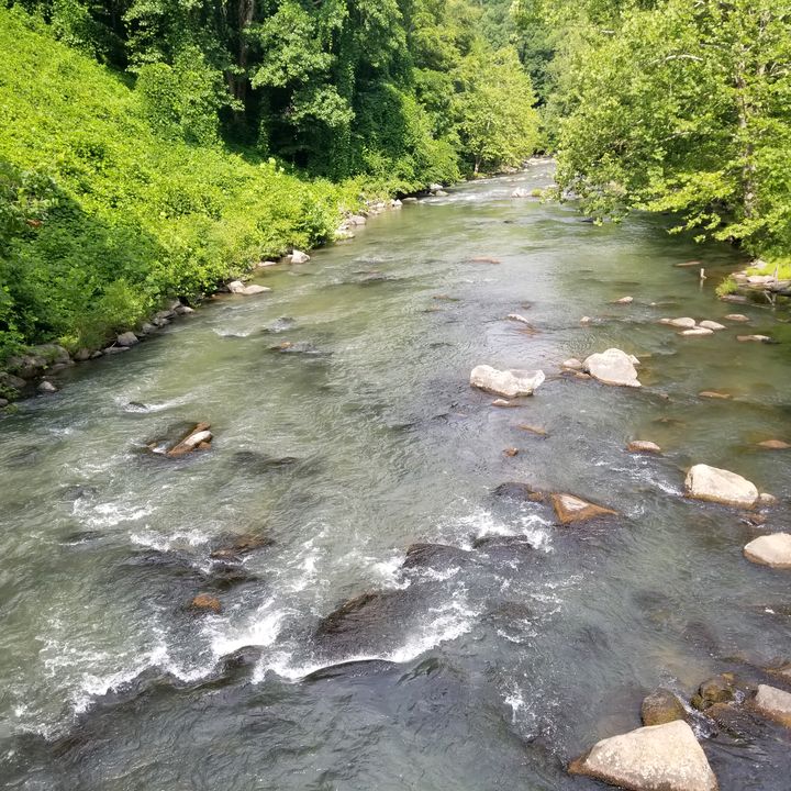 Profile Picture of Jason Greathouse Sr (@jasongreathouses) on Tiktok