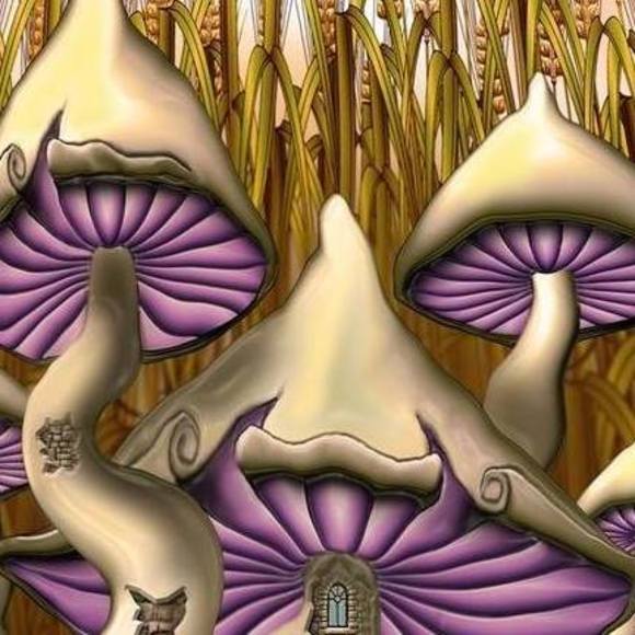 Profile Picture of Mary Tibbens (@marycurl) on Poshmark