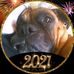 Profile Picture of Andree Francois (@andree.francois.902) on Facebook
