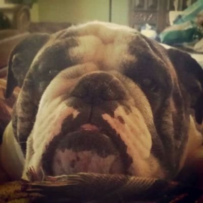 Profile Picture of Rex Phillips (@rexw69) on Twitter