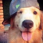 Profile Picture of Bryan Tituaña (@bryan.ti777) on Facebook