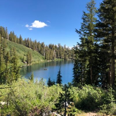 Profile Picture of Dan Henley (@danhenley25) on Twitter
