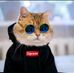 Profile Picture of Jerry Gans (@bocil.epep.77582359) on Facebook