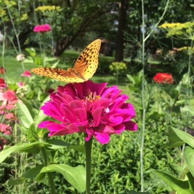 Profile Picture of Stephanie Papp (@Lita_Amaliajtn) on Twitter