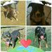 Profile Picture of Penny Climer (@penny.climer.5) on Facebook