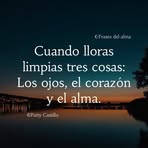 Profile Picture of Miguel Cruz (@Miguel-Cruz) on Facebook