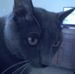 Profile Picture of Beverly Emert (@beverly.emert.3) on Facebook