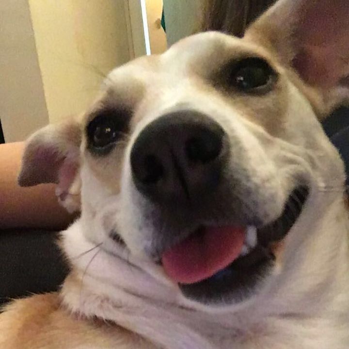 Profile Picture of Meredith Mcclintic (@meredithmcclintic) on Tiktok