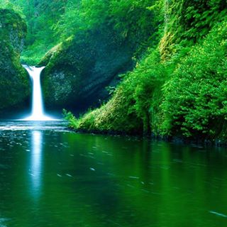 Profile Picture of Jared Jardin (@Jared-Jardin) on Facebook