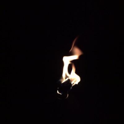 Profile Picture of Lou-Félix Hébert (@Lou_FelixHebert) on Twitter