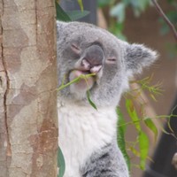 Profile Picture of Kevin Zapata (@kevin-zapata-12) on Quora