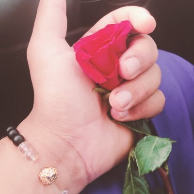 Profile Picture of 3bdallh Bin Mohammed (@JohnBergsma2) on Twitter