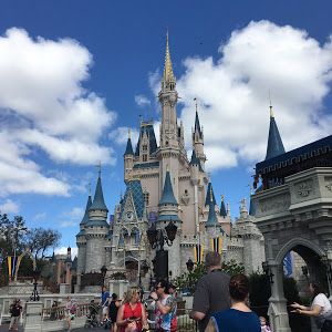 Profile Picture of loganreichert387 (@loganreichert387) on Tiktok