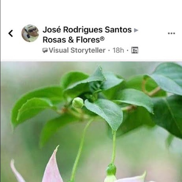 Profile Picture of Katherine Menagh (@kate957) on Poshmark