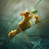 Profile Picture of Joni Watson (@joni-watson-4) on Quora