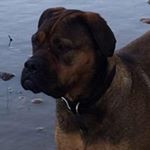 Profile Picture of Michele Pedersen (@pedersenmichele) on Instagram