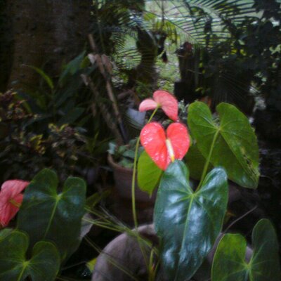 Profile Picture of GABRIEL JAUREGUI (@GALENO10000) on Twitter