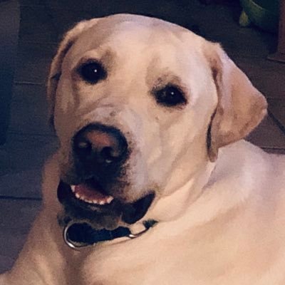 Profile Picture of Cindy Edmonds (@CindyEdmonds14) on Twitter
