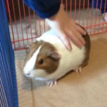 Profile Picture of Paul Spiro (@pauljspiro) on Instagram