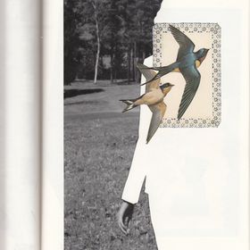 Profile Picture of Alice Kay (@Alicemargotkay) on Pinterest