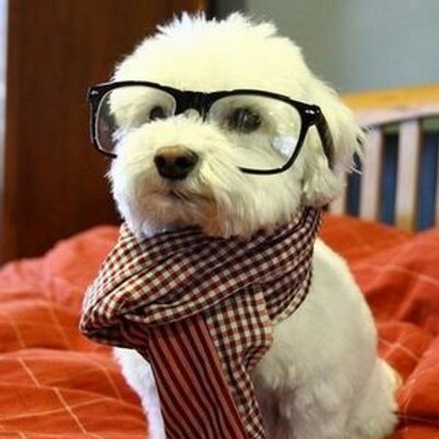 Profile Picture of Alexander Hubert (@alexanderhuber6) on Twitter