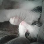 Profile Picture of Nicolas Lacaze (@nicolas.lacaze.35) on Instagram