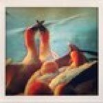 Profile Picture of Larry Rochefort (@larry.rochefort) on Instagram