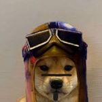 Profile Picture of Jacob Mihm (@elkonfn) on Instagram