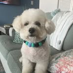 Profile Picture of Bobby Wiley Barker (@bobby.wiley.barker) on Facebook
