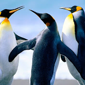 Profile Picture of Steven Robles (@stevenrobles5883) on Youtube