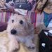 Profile Picture of John Warwick (@john.warwick.167) on Facebook