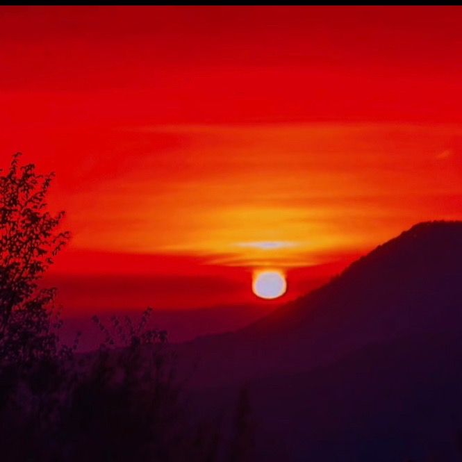 Hitz - Tiktok Profile Picture of Hitz (@hitz.2) on Tiktok