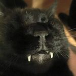 Profile Picture of Marjorie McAneny Page (@mcanenypage) on Instagram