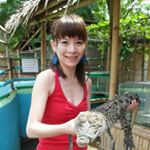 Profile Picture of Shirley Tseng (@shirley_tseng) on Instagram