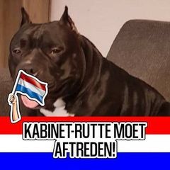 Profile Picture of Richard Donker820 (@richarddonker) on Tiktok