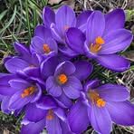 Profile Picture of Gael Rosenbaum (@gael.rosenbaum.2025) on Facebook