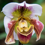 Profile Picture of Wiley_coyote7 (@wiley_coyote7) on Flickr