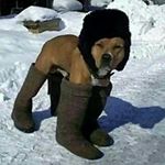 Profile Picture of Kohlman, Adam , Rachel , Cody (@karc.vines) on Instagram