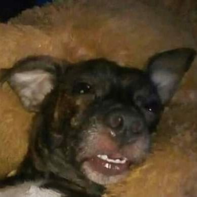 Profile Picture of Nick L00 (@YoungBratz23) on Twitter