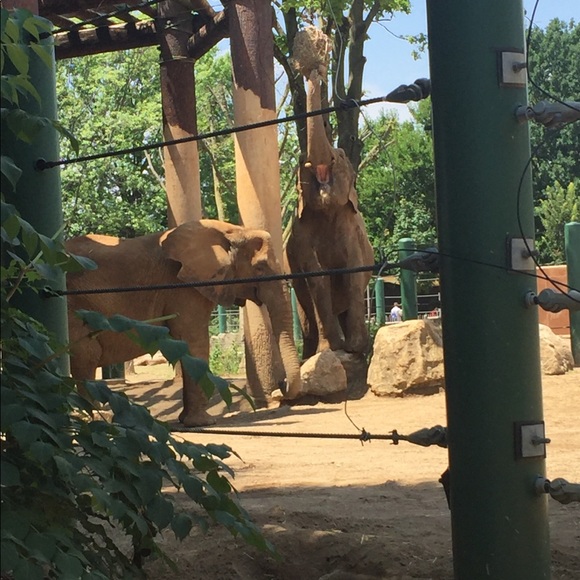 Profile Picture of Savanna Thomas (@vanna1996) on Poshmark