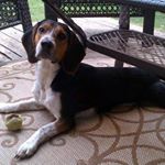 Profile Picture of Steve Doucette (@steve.doucette.1965) on Instagram