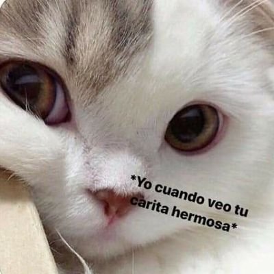 Profile Picture of Edith Menjivar (@eddimagui) on Twitter