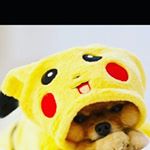 Profile Picture of laura carolina te amo. #03 (@laura_swager_1) on Instagram