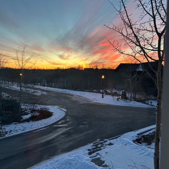 Profile Picture of Sienna Dilullo (@dilullo_sienna) on Poshmark